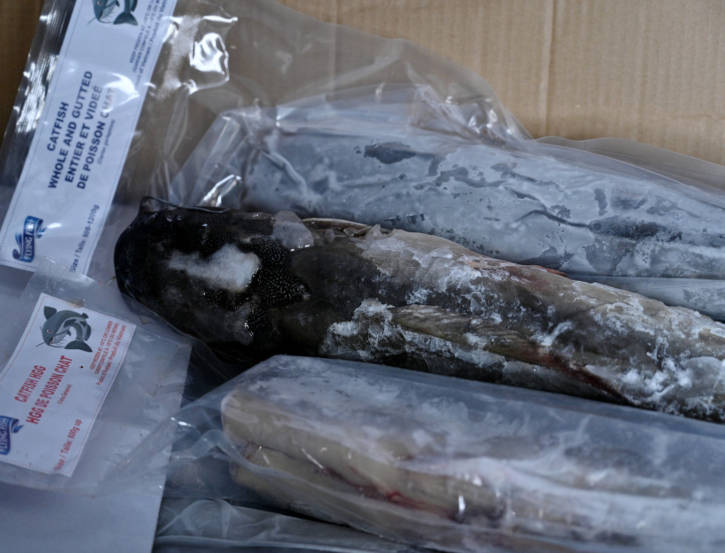 Frozen Catfish