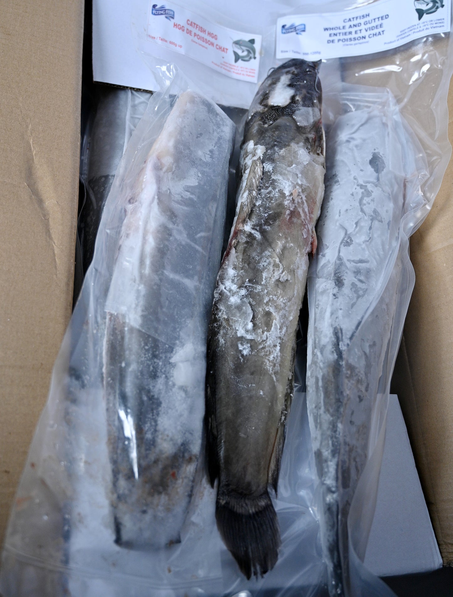 Frozen Catfish