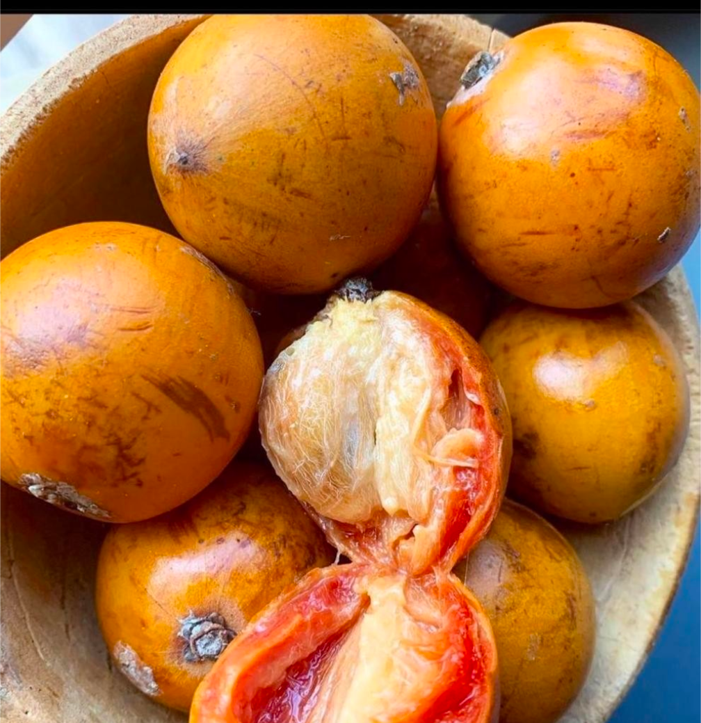 Cotonou Agbalumo
