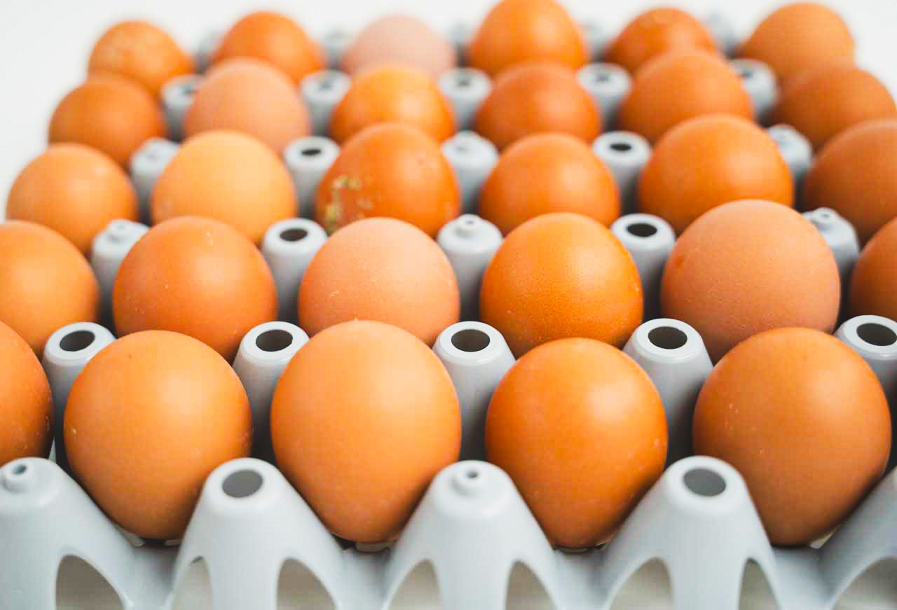 Farm Fresh Brown Eggs