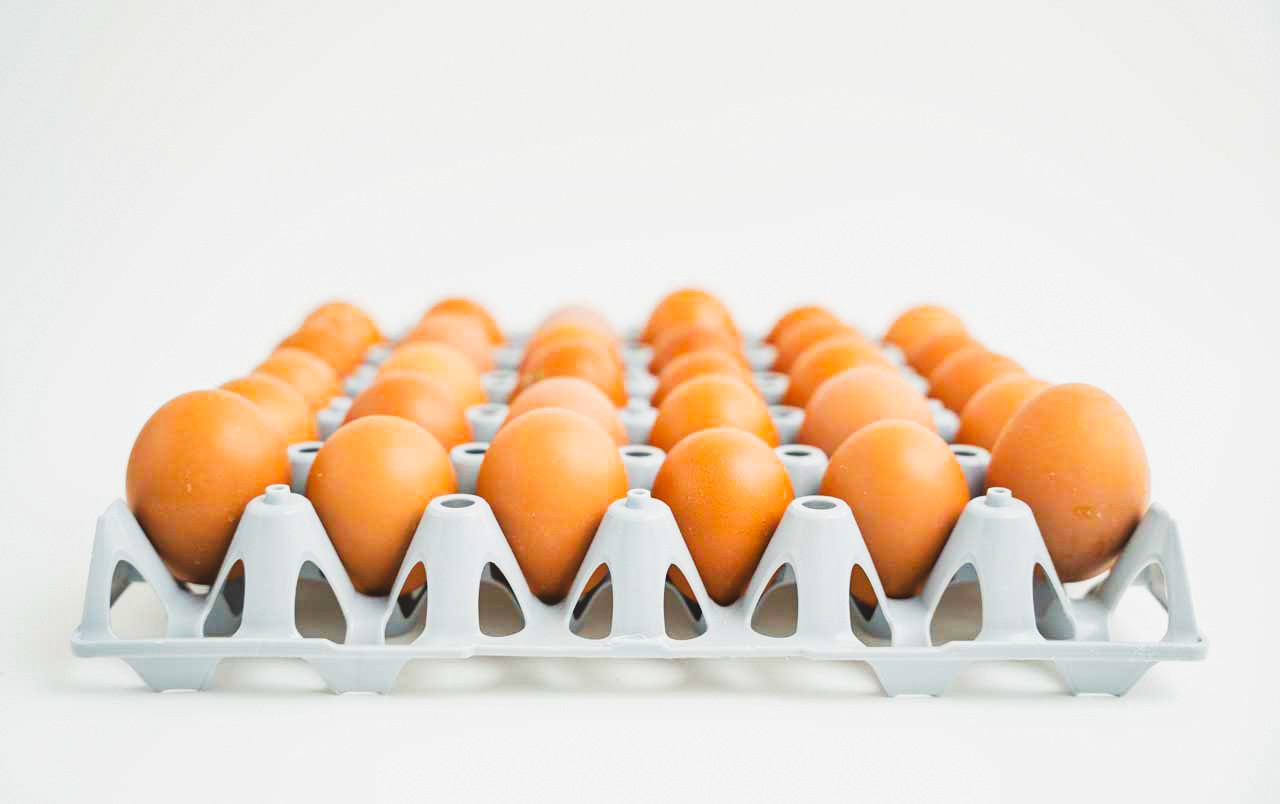 Farm Fresh Brown Eggs