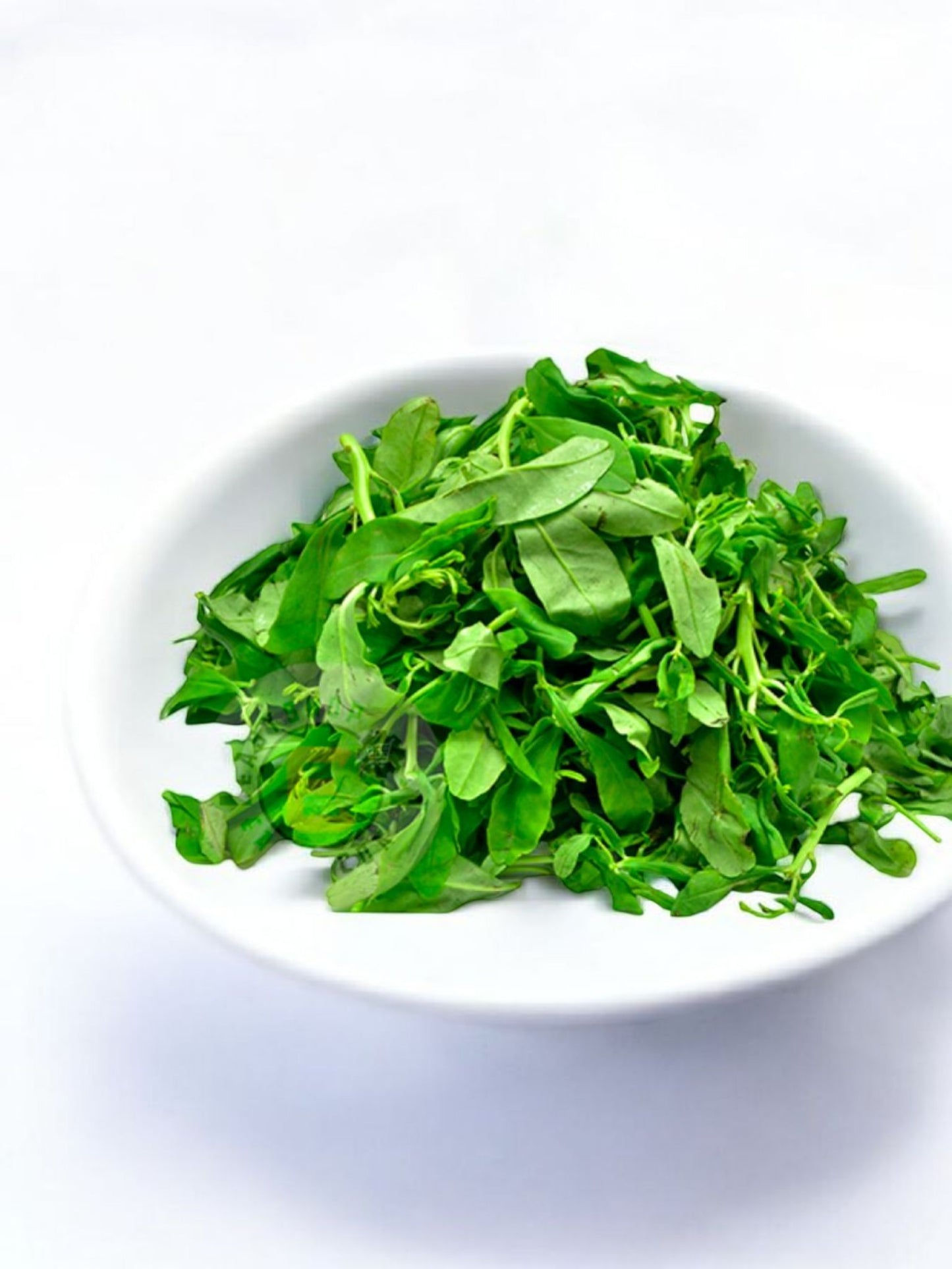 Water Leaf