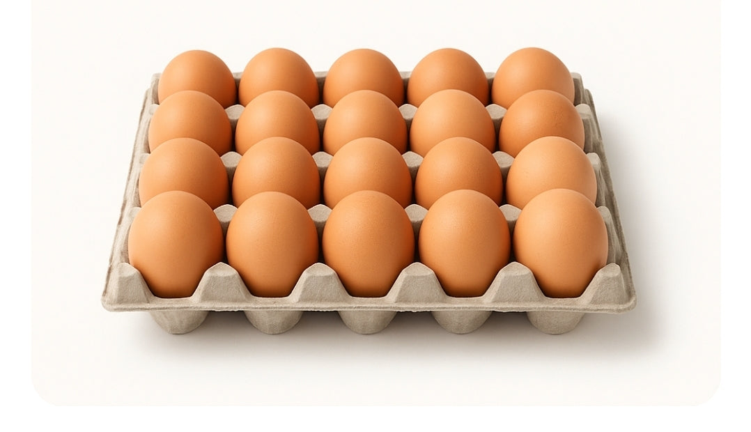 Farm Fresh Brown Eggs