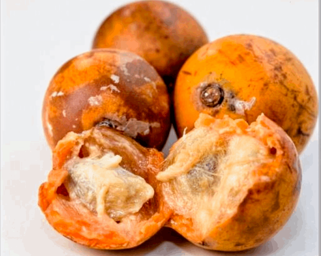 AGBALUMO - PACK OF 10