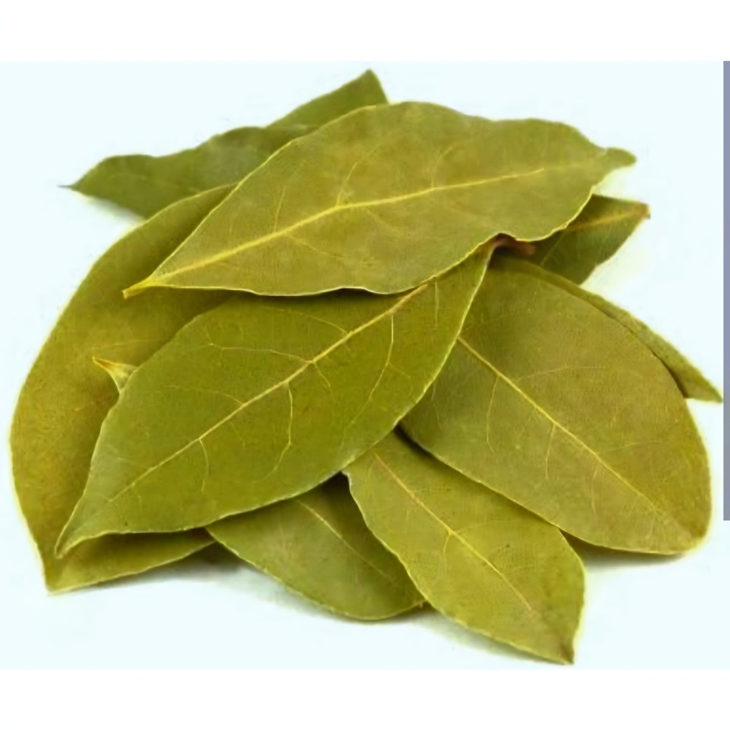 Bay Leaves