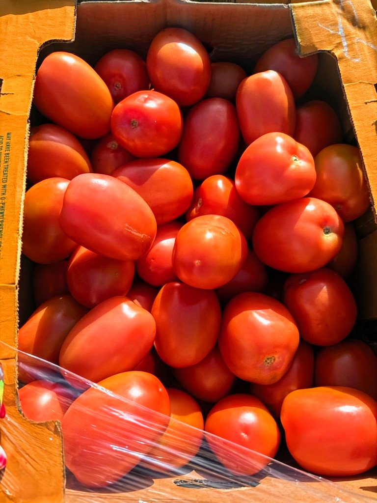 Roma Tomatoes