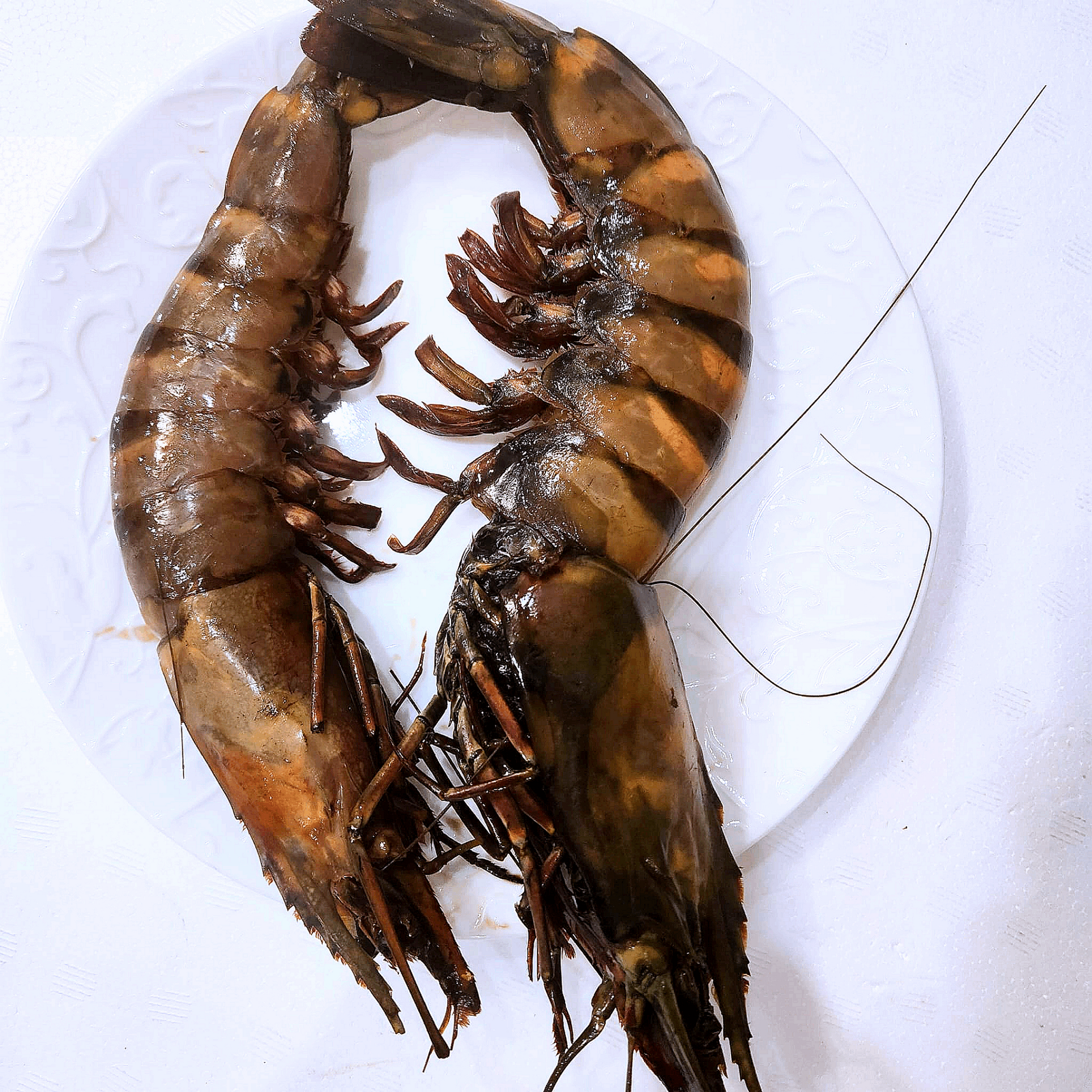 JUMBO TIGER PRAWNS