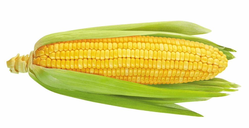 NIGERIAN CORN - PER PACK