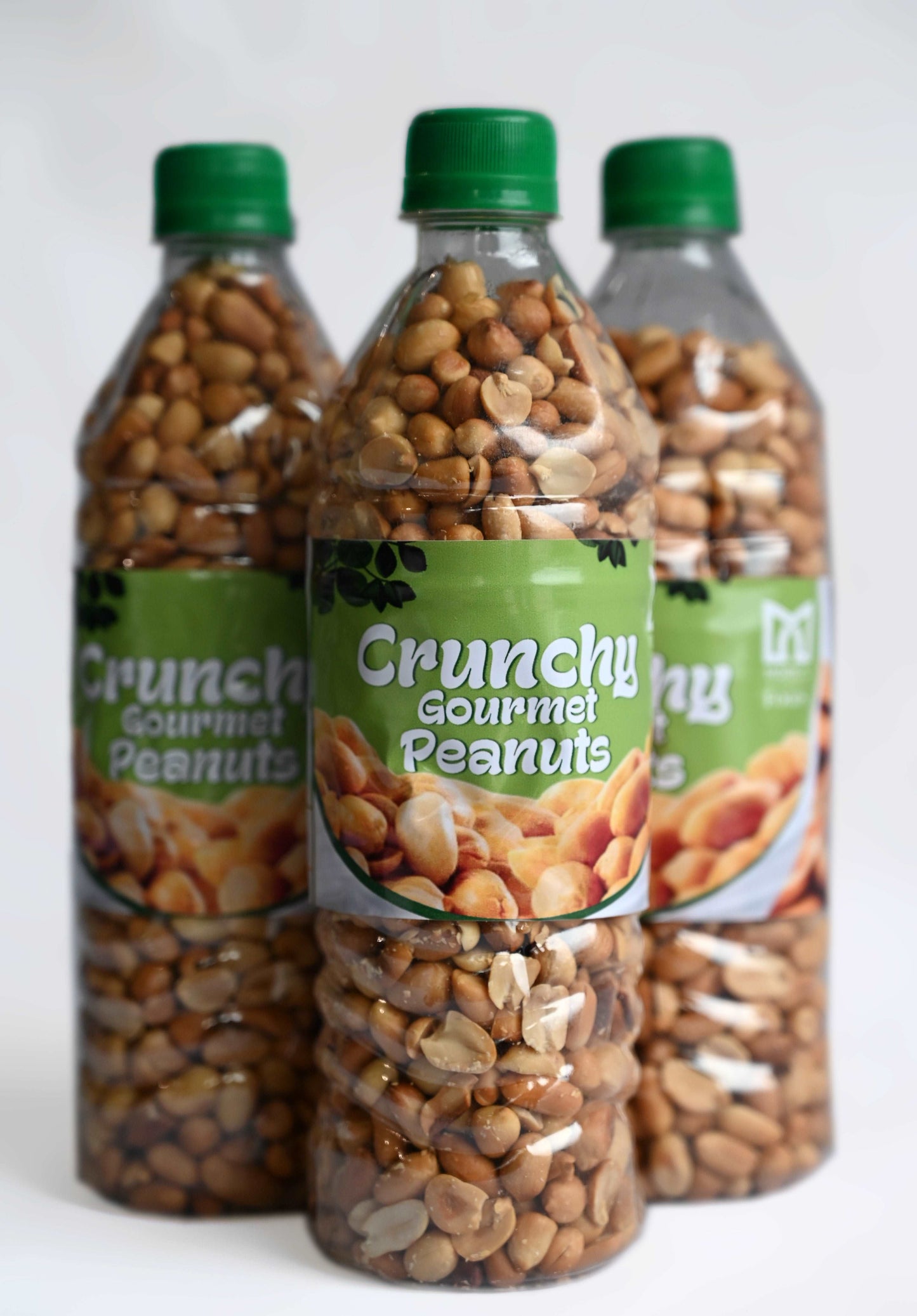 GROUNDNUT