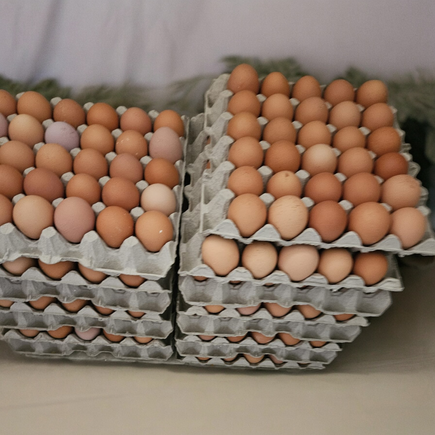 Farm Fresh Brown Eggs