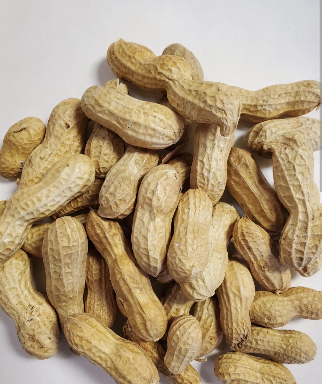 Fresh Groundnuts