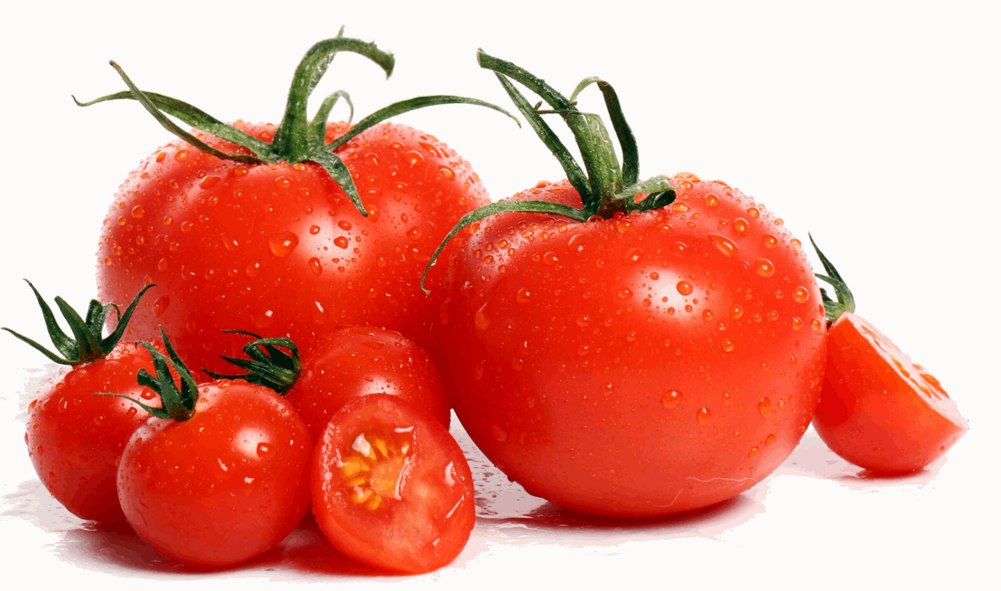 Tomatoes