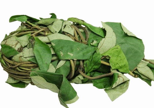 Uziza leaves