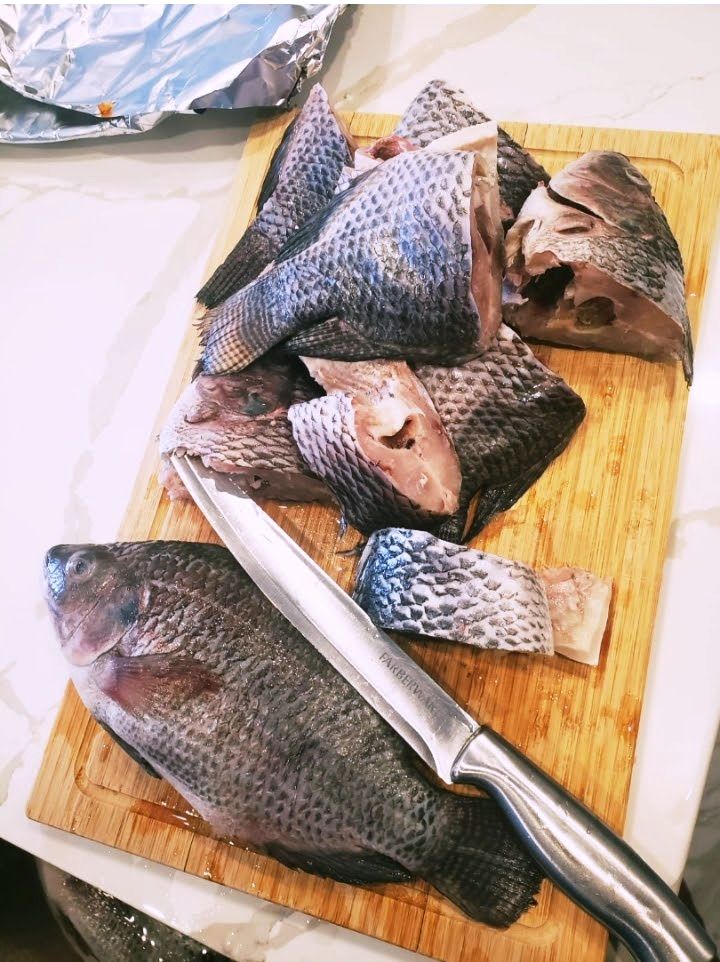 Tilapia Fish