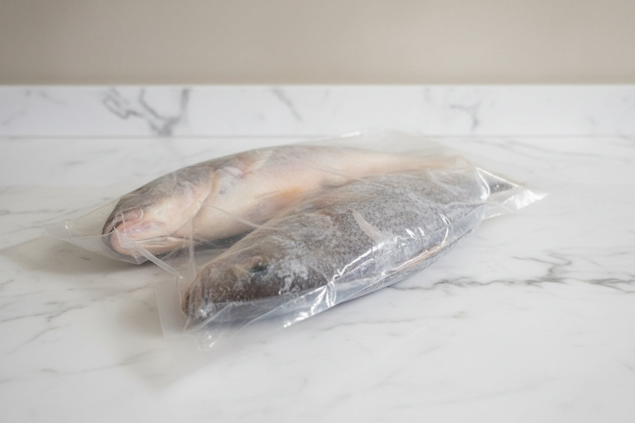 Croaker Fish