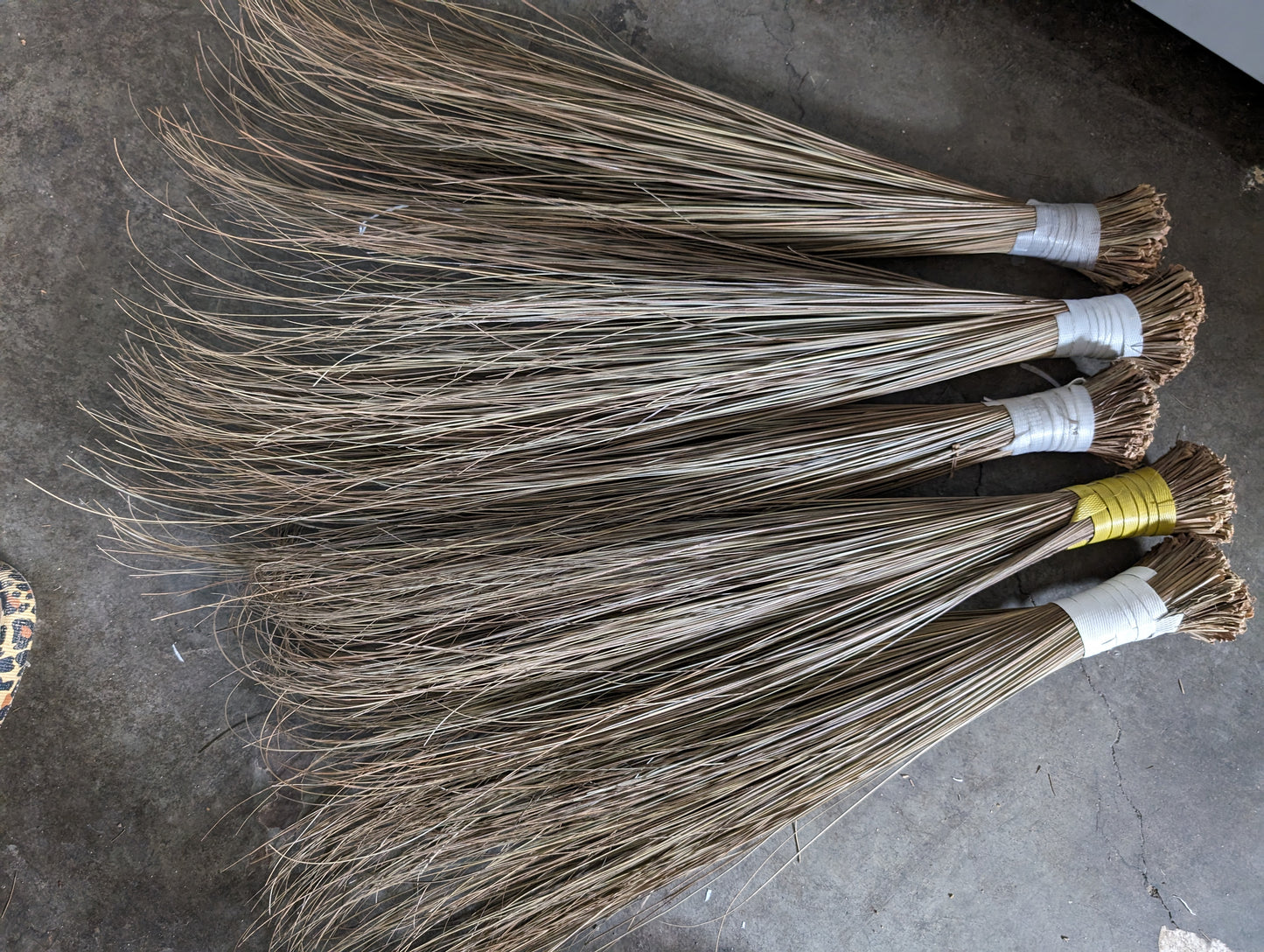 Nigerian Broom