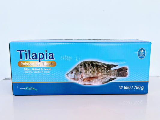 Tilapia Fish