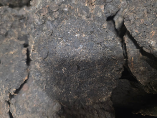 DawaDawa ( Dry Locust Beans)